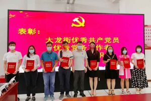 江南(中国)集团党支部荣获先进党组织称号、陈文舒党支部书记荣获优秀党
