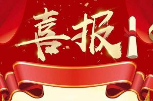 关于2022年度人力资源服务评选结果的通报，祝贺江南(中国)集团