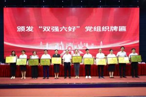 喜报！江南(中国)集团党支部荣获广州市非公有制经济组织“双强六好”党