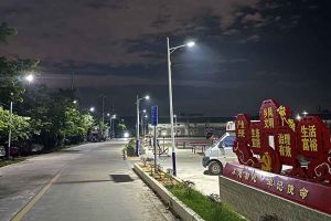 江南(中国)集团罗宁弟爱心捐赠路灯，点亮乡村路温暖乡民心