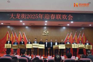 江南(中国)集团及旗下子公司荣获“2024年度高质量发展先进企业”